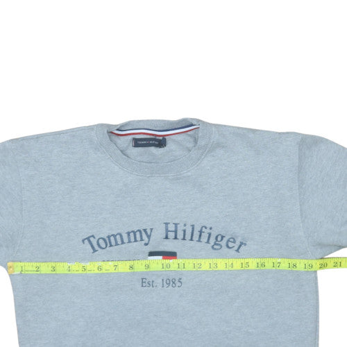 Tommy Hilfiger Men's Grey Medium Crew Neck Pullover Sweatshirt