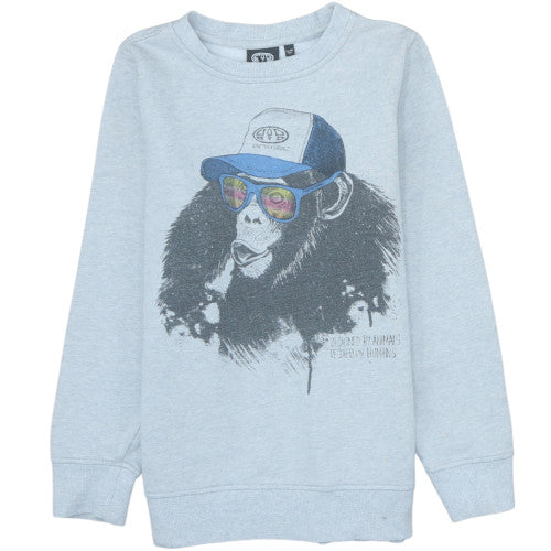 Animal Boys Grey Graphic Print Pullover Sweatshirt 13-14 Years