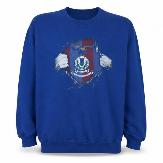 Front view of Gildan Men's Blue Graphic Crew Neck Pullover Sweatshirt L Heavy Blend