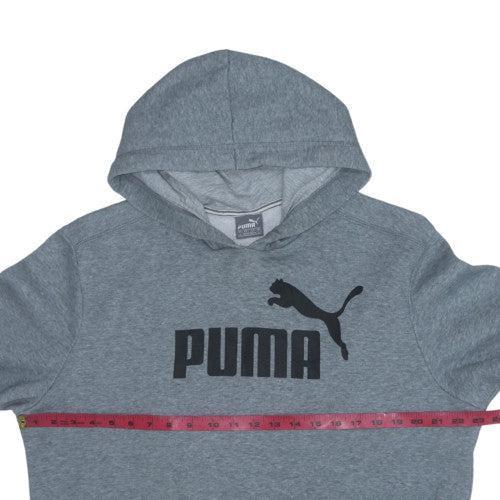 Puma Men Grey Pullover Hoodie L Regular Fit Graphic Print