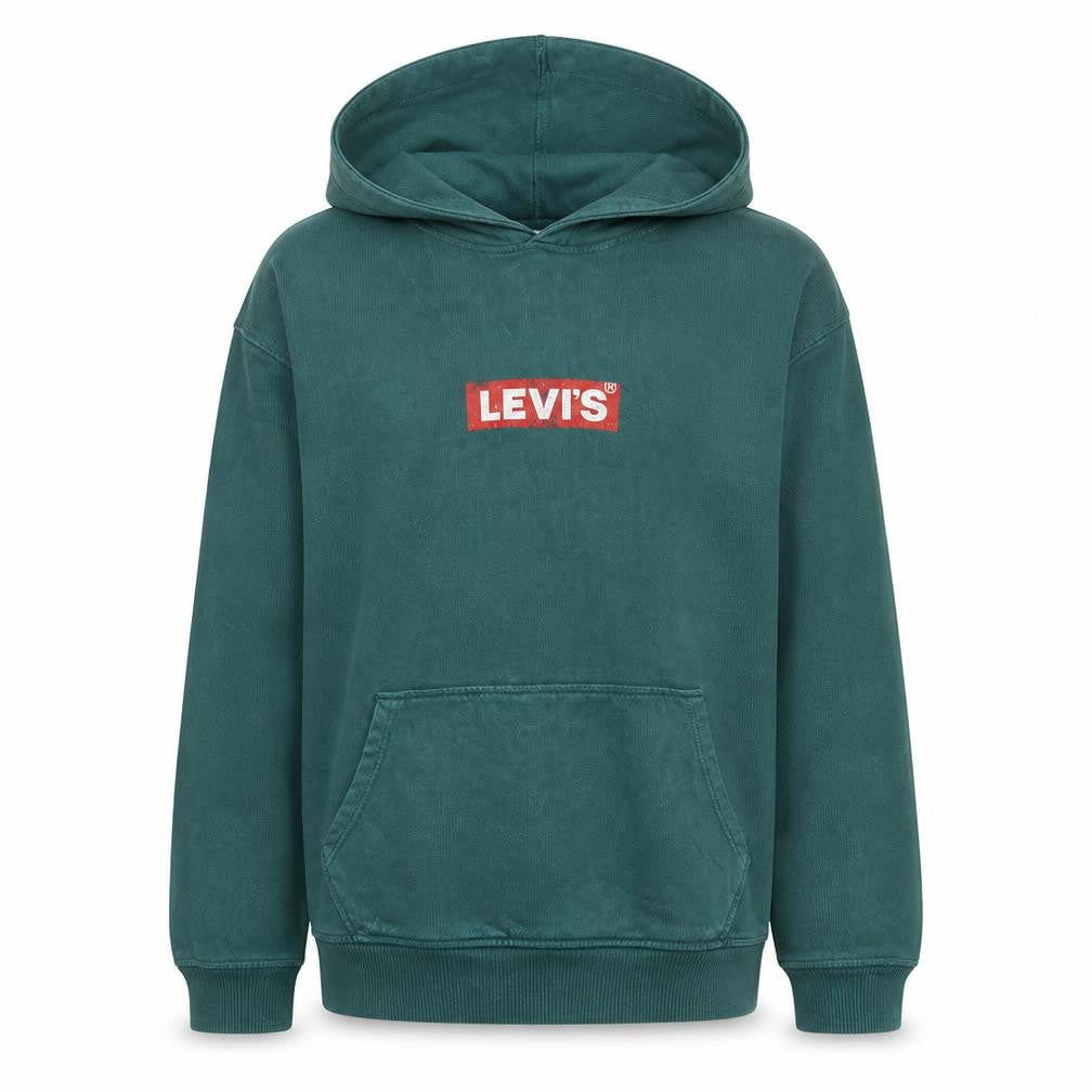 Front view of Levi's Men's Green Pullover Hoodie S Relaxed Fit Logo Fleece