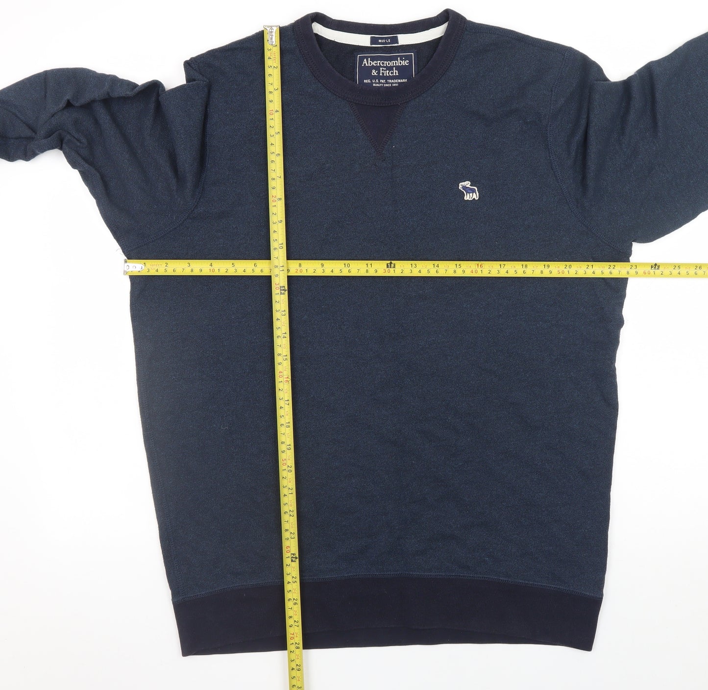 Abercrombie & Fitch Men Blue L Pullover Crew Neck Sweatshirt