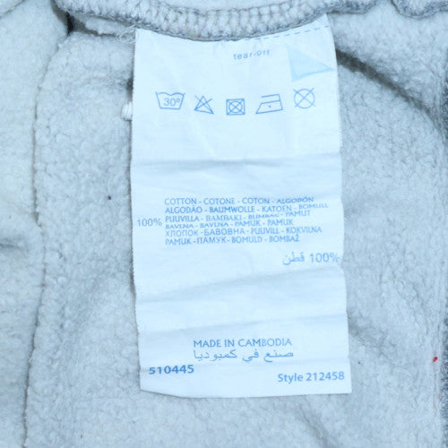 Champion Men's Grey Pullover Hoodie Large Logo Fleece Sweatshirt