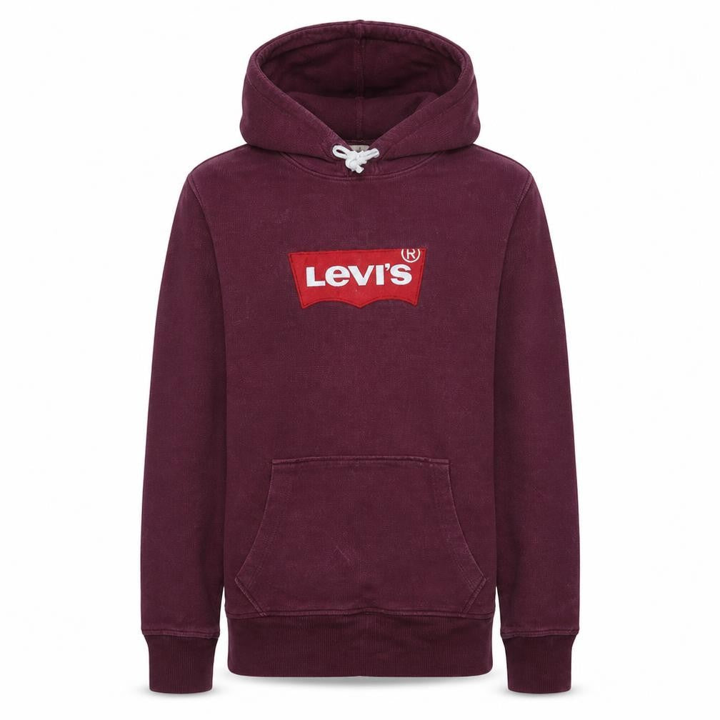 Front view of Levi's Men's Purple Pullover Hoodie S Logo Fleece Sweatshirt