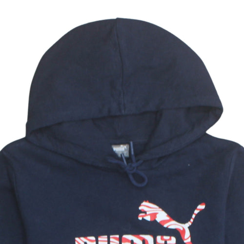 Puma Men's Blue Pullover Hoodie M Sports Graphic Fleece Jumper