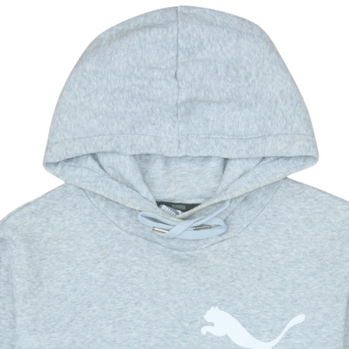 Puma Men’s Grey Pullover Hoodie L Logo Sports Fleece Sweatshirt