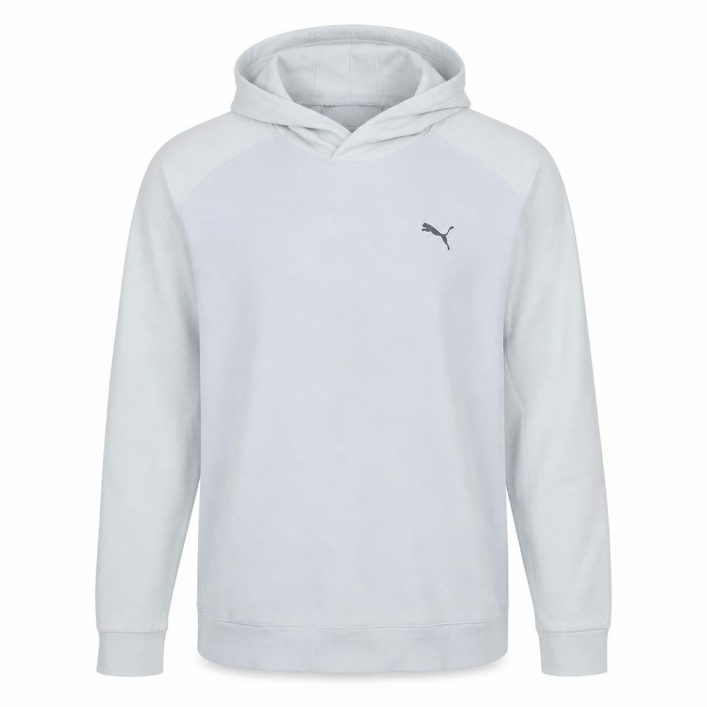 Front view of Puma Men's White Pullover Hoodie L Sportswear Classic Logo