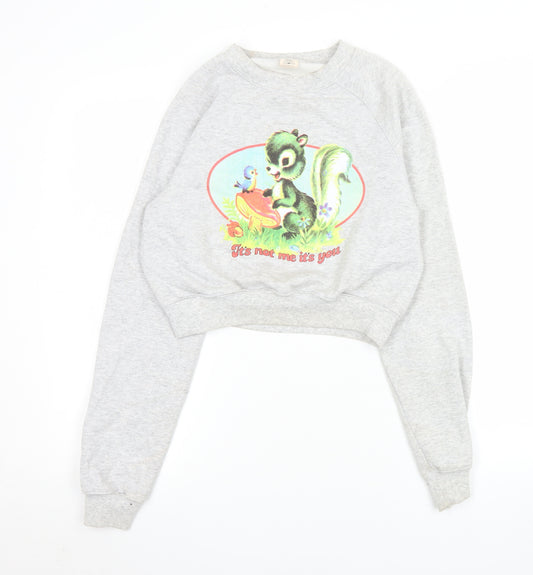 Urban Outfitters Womens Grey Graphic Pullover Sweatshirt S