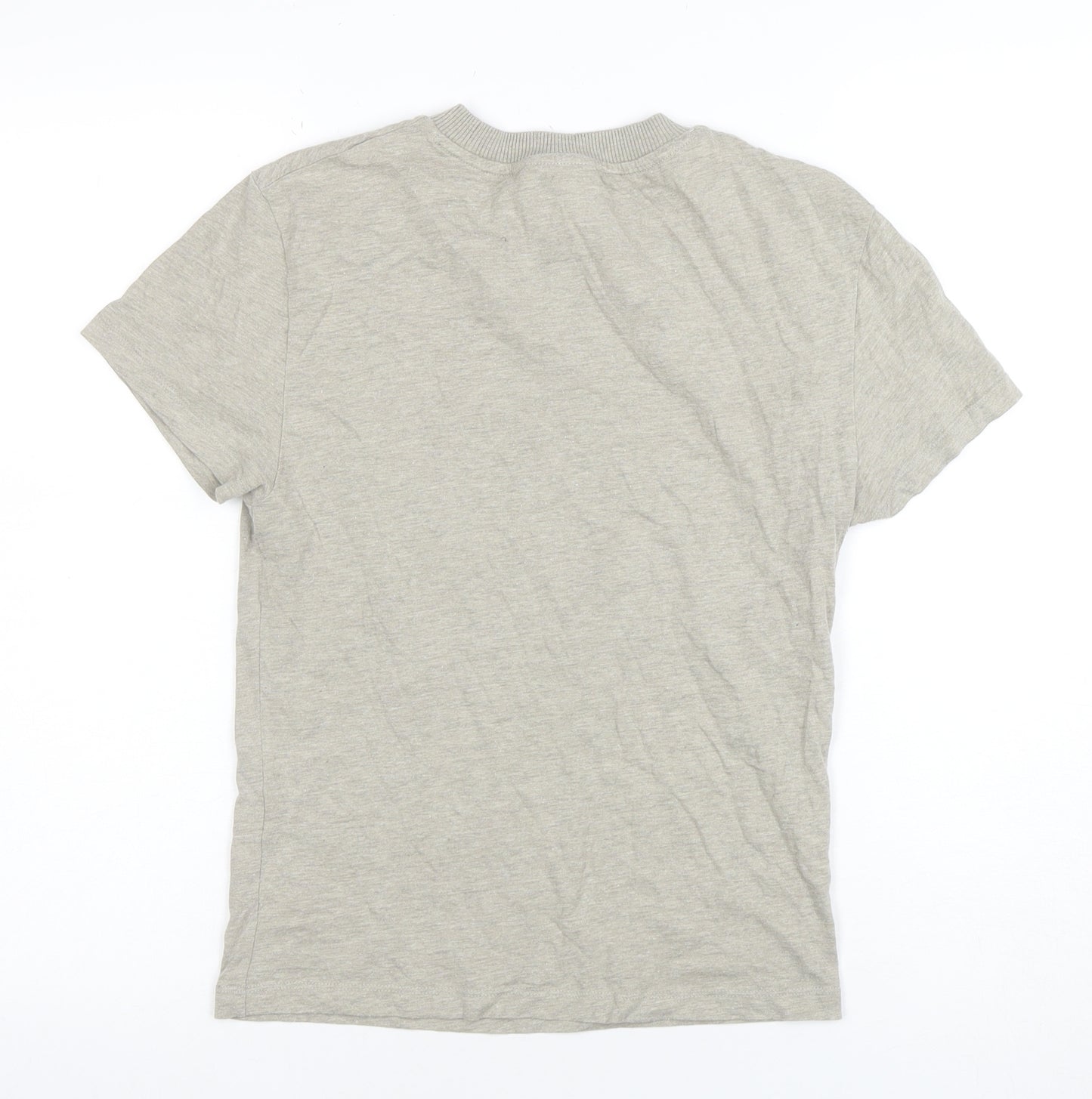 Reclaimed Vintage Womens Grey Arizona Graphic T-Shirt Size S
