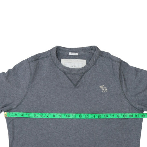 Abercrombie & Fitch Mens Grey L Pullover Crew Neck Sweatshirt