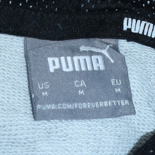 Puma Mens Grey Pullover Hoodie M Regular Fit Sportswear