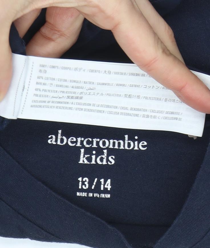 Abercrombie Kids Boys Blue 13-14 Years Cotton Logo Short Sleeve T-Shirt