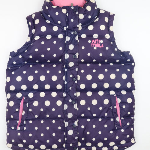 Animal Women Blue Polka Dot Padded Waistcoat Size 12