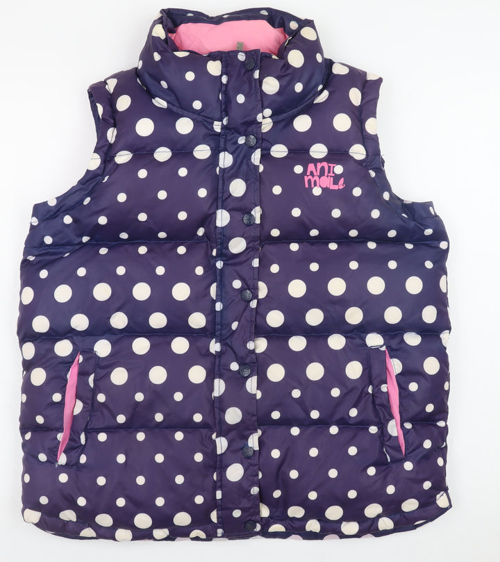 Animal Women Blue Polka Dot Padded Waistcoat Size 12