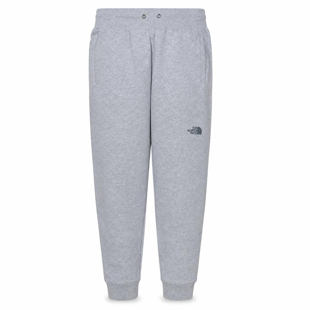 Front view of The North Face men’s grey regular fit sweatpants m