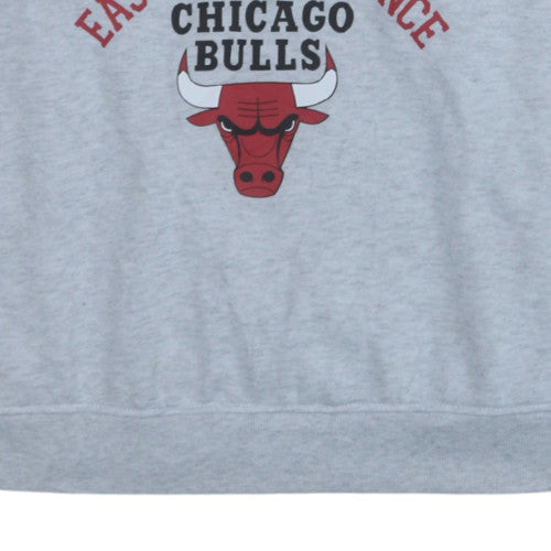 NBA Chicago Bulls Men's Grey Sweatshirt Large Crew Neck Pullover
