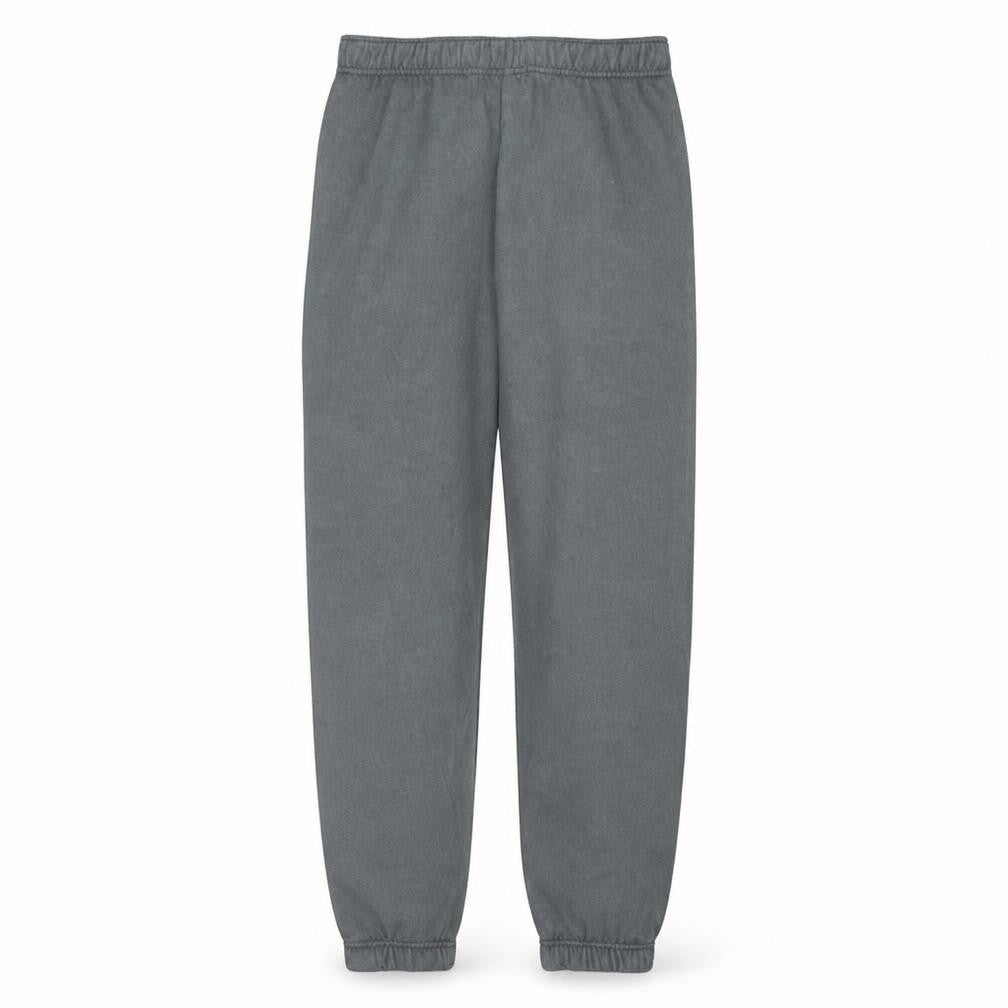 Front view of Champion Men's Grey Fleece Jogger Sweatpants, size M, Regular Fit