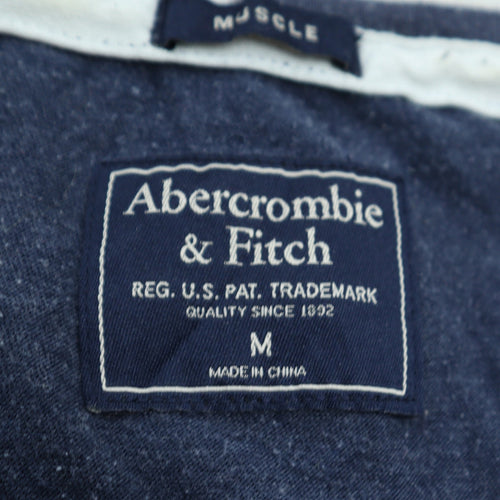 Abercrombie & Fitch Men's Blue Stripe Crew Neck Muscle Fit T-Shirt Size M