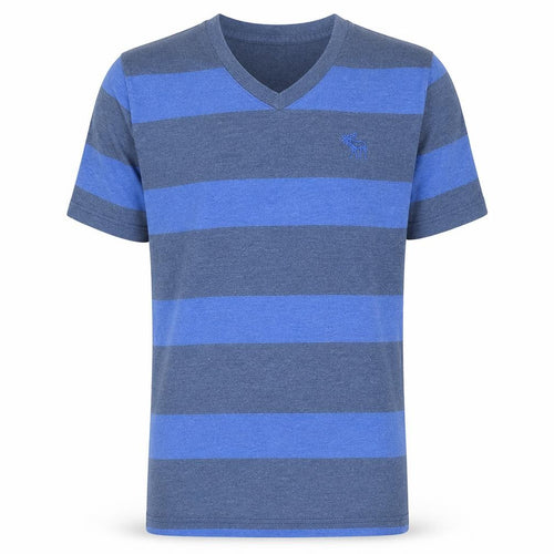 Abercrombie & Fitch Men's Blue Striped V-Neck T-Shirt XL Regular Fit