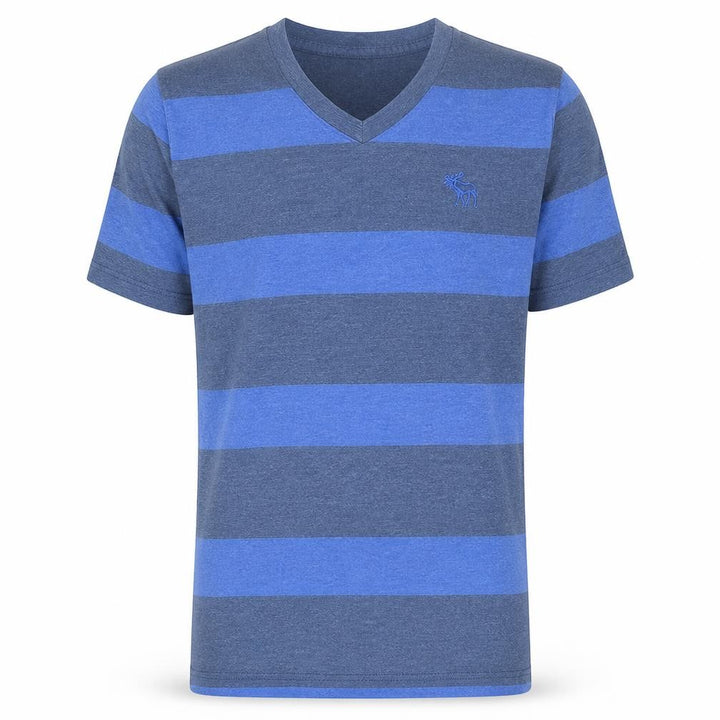 Abercrombie & Fitch Men's Blue Striped V-Neck T-Shirt XL Regular Fit