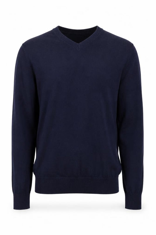 Front view of Gap Men's Blue XS V-Neck Cotton jumper