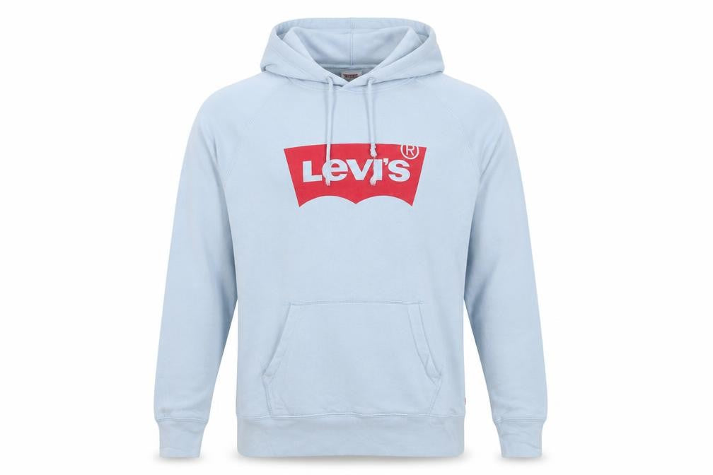 Front view of Levi's Men's Blue Pullover Hoodie, size S, Graphic Logo Sweatshirt