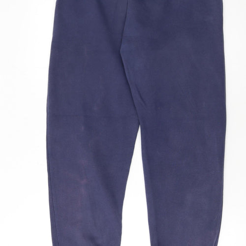 Nike Men's Blue Fleece Sweatpants S Regular Fit Logo Joggers