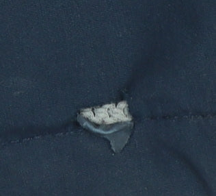 Trespass Womens Blue Waterproof Hooded Rain Jacket L