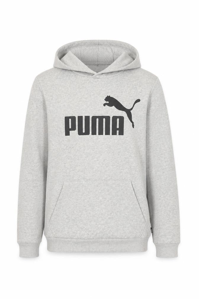 Front view of Puma Grey Teens 164 Pullover Hoodie with Logo Front