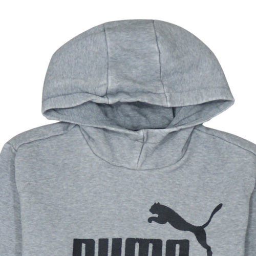 Puma Men’s Grey Pullover Hoodie Small Regular Fit Logo Fleece