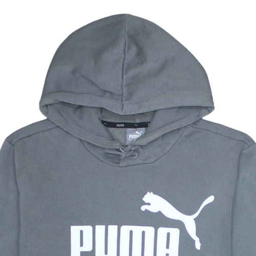 Puma Mens Grey Pullover Hoodie Small Regular Fit Sports Style