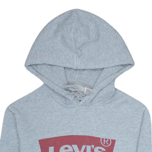 Levi's Men's Grey Pullover Hoodie S Logo Graphic Sweatshirt