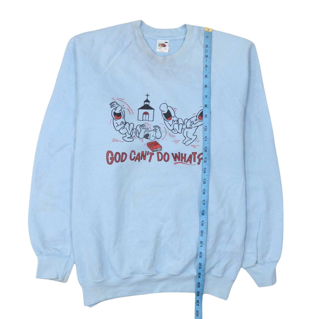 Fruit of the Loom Mens Blue Funny Graphic Pullover Sweatshirt L