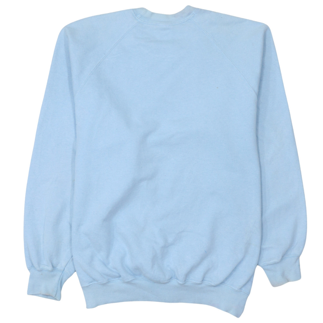 Fruit of the Loom Mens Blue Funny Graphic Pullover Sweatshirt L