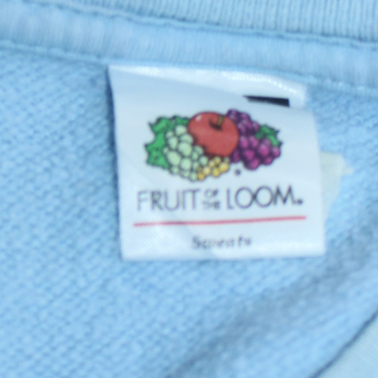 Fruit of the Loom Mens Blue Funny Graphic Pullover Sweatshirt L