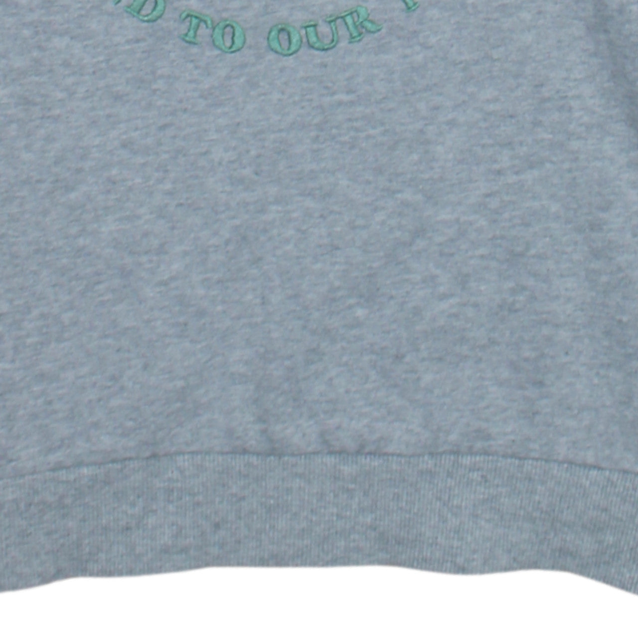 Disney Womens Grey Sweatshirt Size 38 Be Kind To Our Planet Pullover