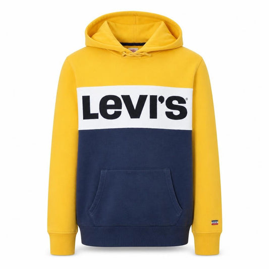 Front view of Levi's Men's Multicoloured Pullover Hoodie M Regular Fit
