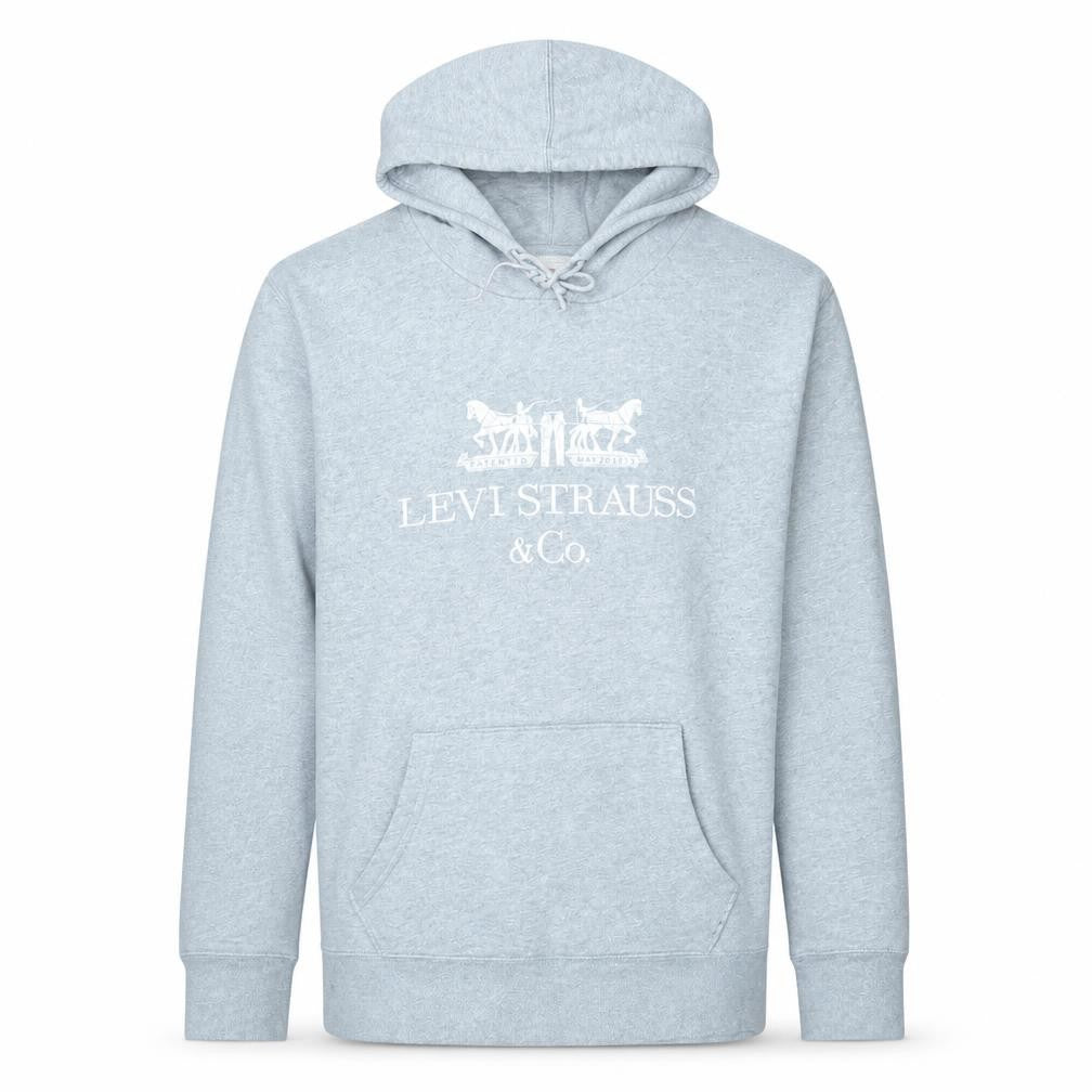 Front view of Levi's Men's Grey Pullover Hoodie Small Logo Fleece Sweatshirt