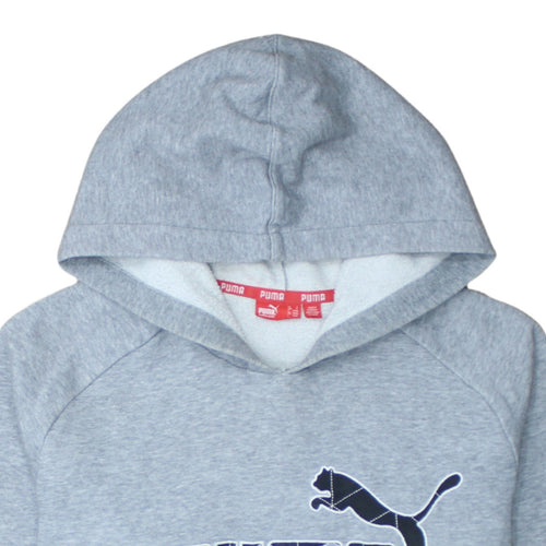 Puma Men's Grey Pullover Hoodie Small Graphic Logo Fleece Sweatshirt