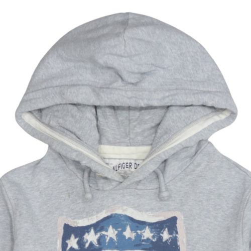 Tommy Hilfiger Denim Men's Grey Medium Pullover Hoodie with USA Graphic