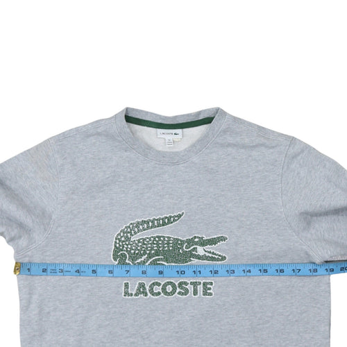 Lacoste Boys Grey Crew Neck Sweatshirt Size 16 Regular Fit Cotton Blend