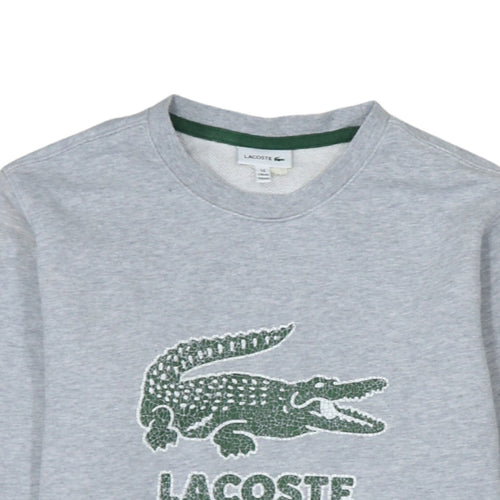 Lacoste Boys Grey Crew Neck Sweatshirt Size 16 Regular Fit Cotton Blend