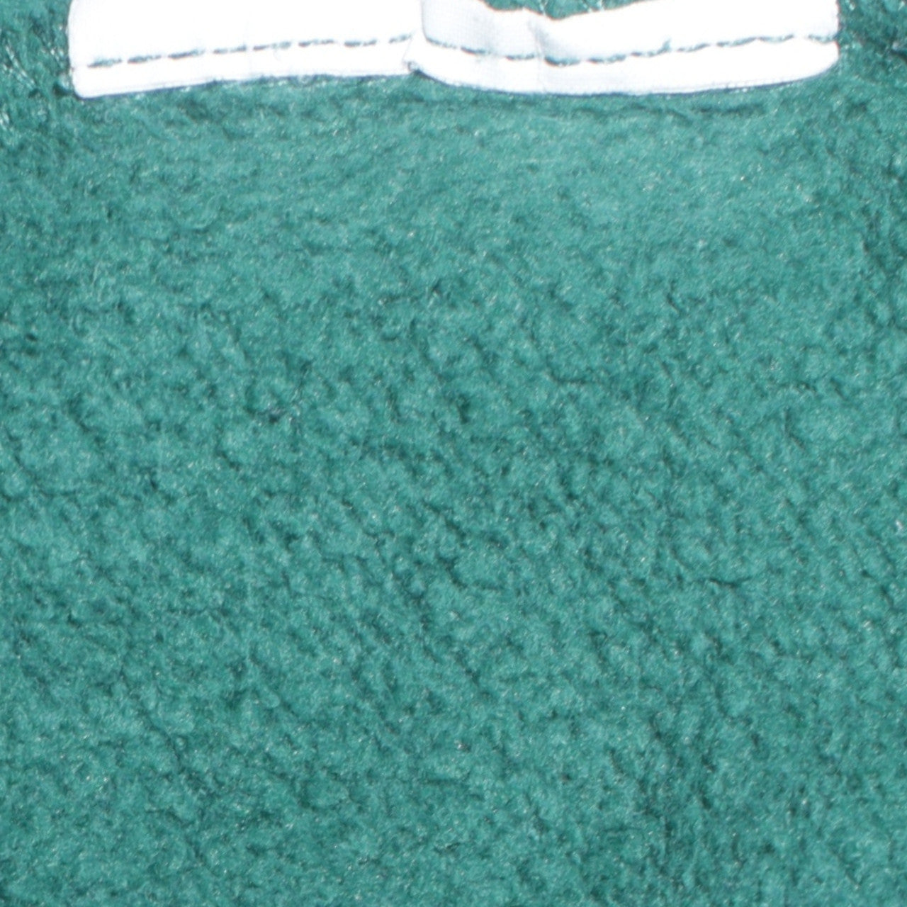 Champion Boys Green Pullover Hoodie XL 13-14 Years Fleece Lined Casual