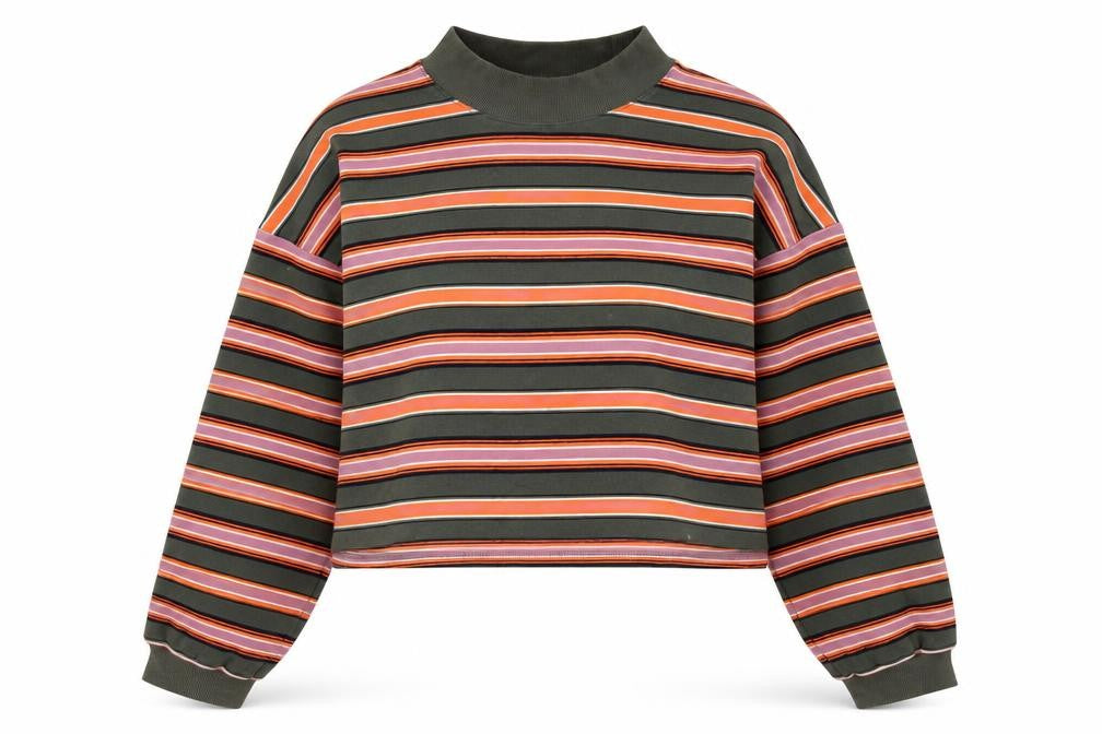 Front view of Wild Fable Women Multicoloured Striped Pullover Sweatshirt XL