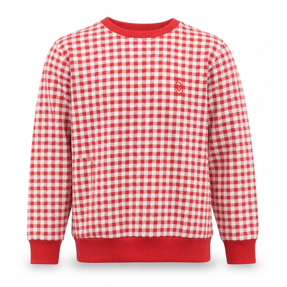 Front view of Codex Men's Red Checked Crew Neck Sweatshirt, size L