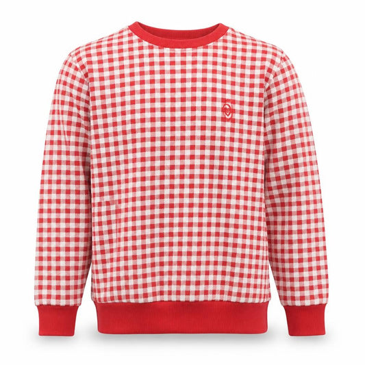 Front view of Codex Men's Red Checked Crew Neck Sweatshirt, size L