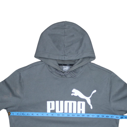 Puma Men's Grey Pullover Hoodie M Regular Fit Sportswear