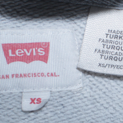Levi's Men's Grey XS Pullover Hoodie with Logo Front