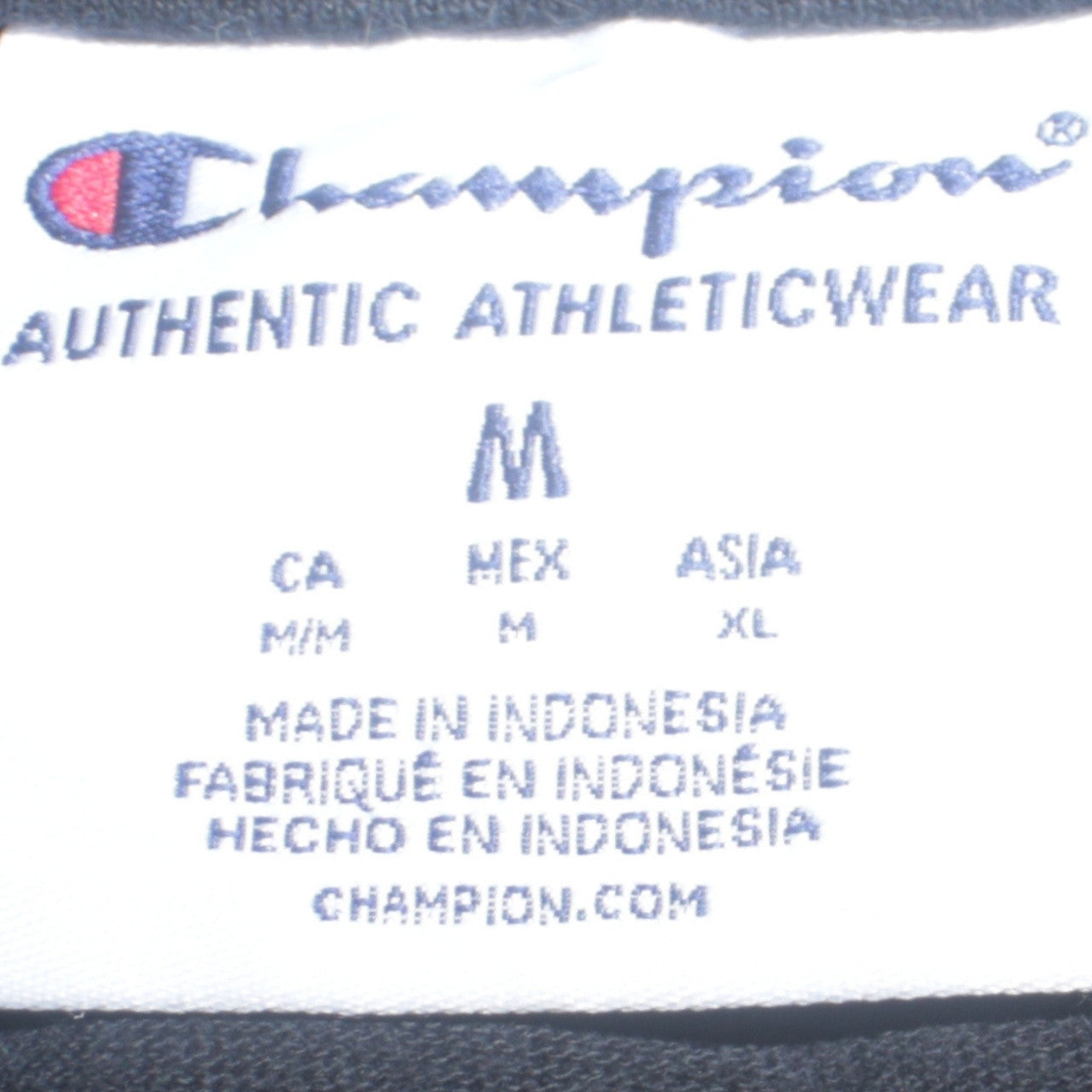 Champion Mens Black Pullover Hoodie Medium Logo Sportswear