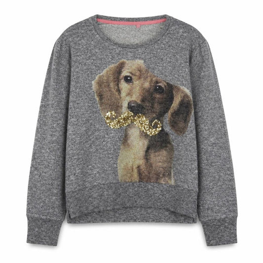 Front view of Next girls’ grey sequin dog jumper 16 years long sleeve pullover